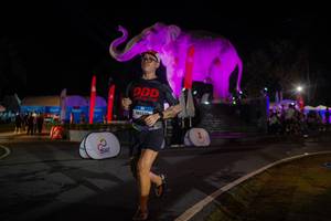 BIB: 
                            <button type="button" onclick="openModal(26552169)" class="btn btn-primary btn-sm float-right btn-popup" data-toggle="modal" data-target=".modal-high-quality">
                        <i class="fas fa-shopping-cart"></i> Add to Cart
                    </button>
                                            <button type="button" onclick="isThisMe(26552169, true)" class="btn btn-success btn-sm float-right btn-popup btn-isme hidden" data-toggle="tooltip" data-placement="bottom" title="นี่คือรูปของคุณใช่ไหม คลิกที่นี่เพื่อเอาเข้าอัลบั้ม">
                        <i class="fas fa-plus"></i> Add to album
                    </button>
                    <button type="button" onclick="isThisMe(26552169, false)" class="btn btn-warning btn-sm float-right btn-popup btn-isnotme hidden">
                        <i class="fas fa-ban"></i> Remove from album
                    </button>